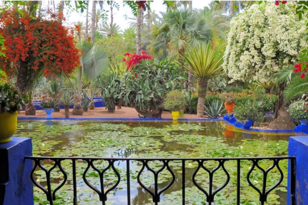 Charmant Riad Au Coeur De Marrakech 马拉喀什 外观 照片
