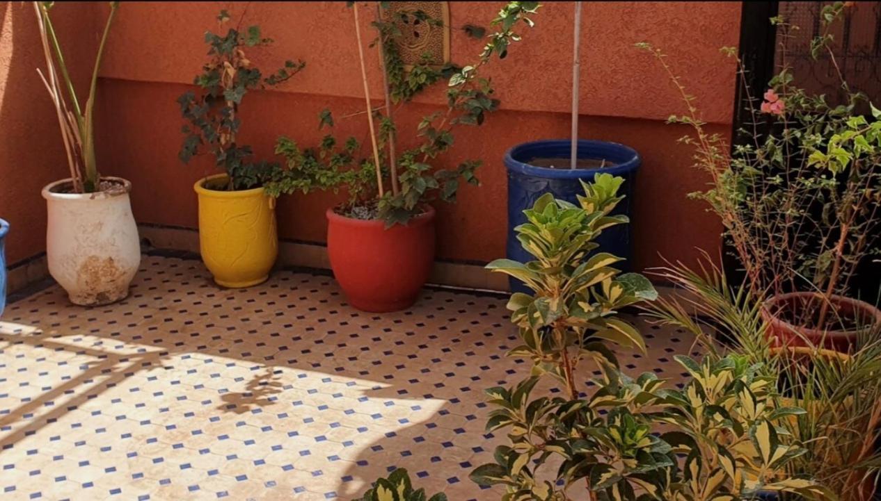 Charmant Riad Au Coeur De Marrakech 马拉喀什 外观 照片